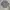 Polo Ralph Lauren Vintage Harrington jacket Pria gray photo 1