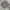 Polo Ralph Lauren Vintage Harrington Jacket Pria Gray
