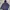 Uniqlo Streetwear Windbreaker Pria Navy
