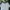 Adidas Casual Polo shirt Pria white photo 2