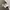 Vintage Streetwear T-shirt Pria gray photo 4