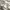 Uniqlo Streetwear Casual Casual pants Pria white photo 6