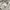 Uniqlo Streetwear Casual Casual pants Pria white photo 7