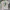Vintage Streetwear T-shirt Pria tan photo 1