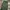 Uniqlo Streetwear Casual Casual pants Pria green photo 4