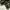 Uniqlo Streetwear Casual Casual pants Pria green photo 6