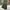 Uniqlo Streetwear Casual Casual pants Pria green photo 1