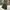 Uniqlo Streetwear Casual Casual Pants Pria Green