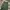 Uniqlo Streetwear Casual Casual pants Pria green photo 5