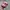 Y2K Biker Hat Wanita pink black photo 1