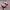 Y2K Biker Hat Wanita Pink Black