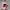 Y2K Biker Hat Wanita pink black photo 3