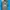 Vintage Coquette Midi Dress Wanita Blue