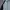 Adidas Sportswear Windbreaker Pria gray photo 2