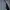 Adidas Sportswear Windbreaker Pria gray photo 3