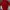 Mizuno Sportswear Track jacket Pria red photo 4