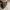 Louis Vuitton Casual Bags & purse Wanita brown photo 4
