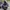 The North Face Gorpcore Sportswear Pria black photo 2