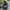 The North Face Gorpcore Sportswear Pria Black