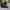 The North Face Gorpcore Sportswear Pria black photo 1