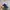 Chase Nascar Vintage Y2K Hat Pria white blue photo 3