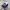 Chase Nascar Vintage Y2K Hat Pria White Blue