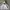 Vintage Streetwear Hoody Pria gray photo 1