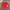 Sportswear Short Pria red photo 1
