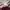 The North Face Casual Hoody Pria silver photo 6