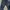 Burberry Vintage Jeans Pria black blue photo 2