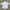 GU Casual Sweatshirt Pria white photo 2