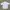 GU Casual Sweatshirt Pria White