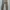 Dickies Casual Casual pants Pria khaki photo 1