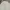 Lafudge Minimalist Formal shirt Pria cream photo 4