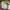 Nitraid Streetwear Y2K Jumper Pria multicolor green photo 5