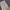 Uniform Bridge Vintage Casual Casual pants Pria tan photo 6