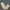 Uniform Bridge Vintage Casual Casual Pants Pria Tan