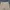 Uniform Bridge Vintage Casual Casual pants Pria tan photo 5