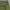Streetwear Casual Casual pants Pria green gray photo 5