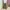 Streetwear Casual Casual pants Pria green gray photo 2