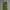 Streetwear Casual Casual pants Pria green gray photo 7