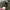 Streetwear Casual Casual pants Pria green gray photo 4