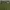Streetwear Casual Casual pants Pria green gray photo 8