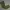 Streetwear Casual Casual pants Pria green gray photo 1
