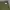 Streetwear Casual Casual pants Pria green gray photo 6