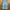Shein Streetwear Gorpcore Tracksuit Pria blue photo 1