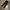 Polo Ralph Lauren Biker Casual Jeans Pria black photo 2