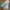 Levi's Biker Casual Jeans Pria multicolor photo 1