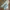 Levi's Biker Casual Jeans Pria Multicolor