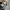 Levi's Biker Casual Jeans Pria multicolor photo 3